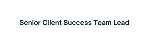 Senior Client Success Team Lead